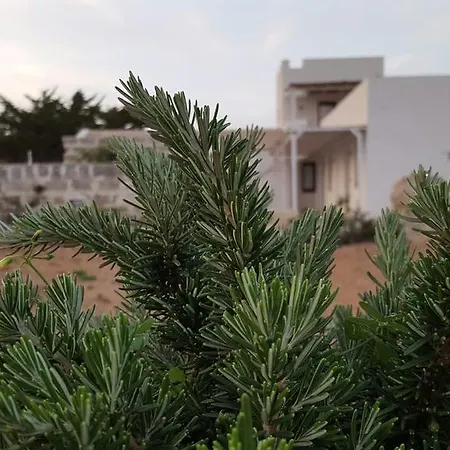 Senia Del Rais Holiday home Favignana